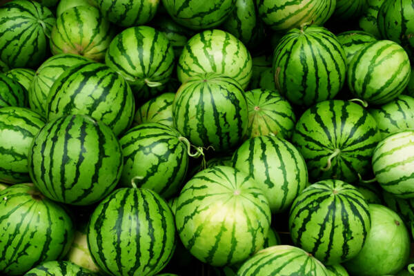 Watermelons