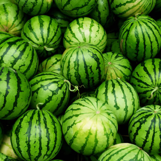 Watermelons